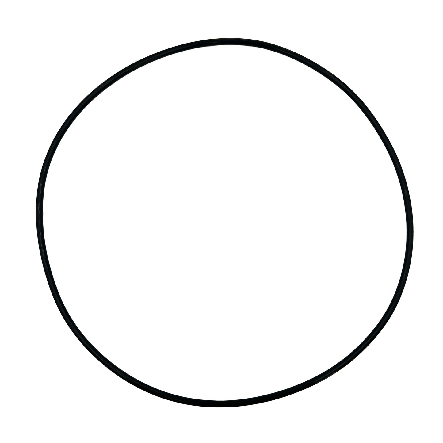 Clearguard 16000 Replacement O-Ring