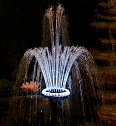 LED Light Ring w/ Fountainhead