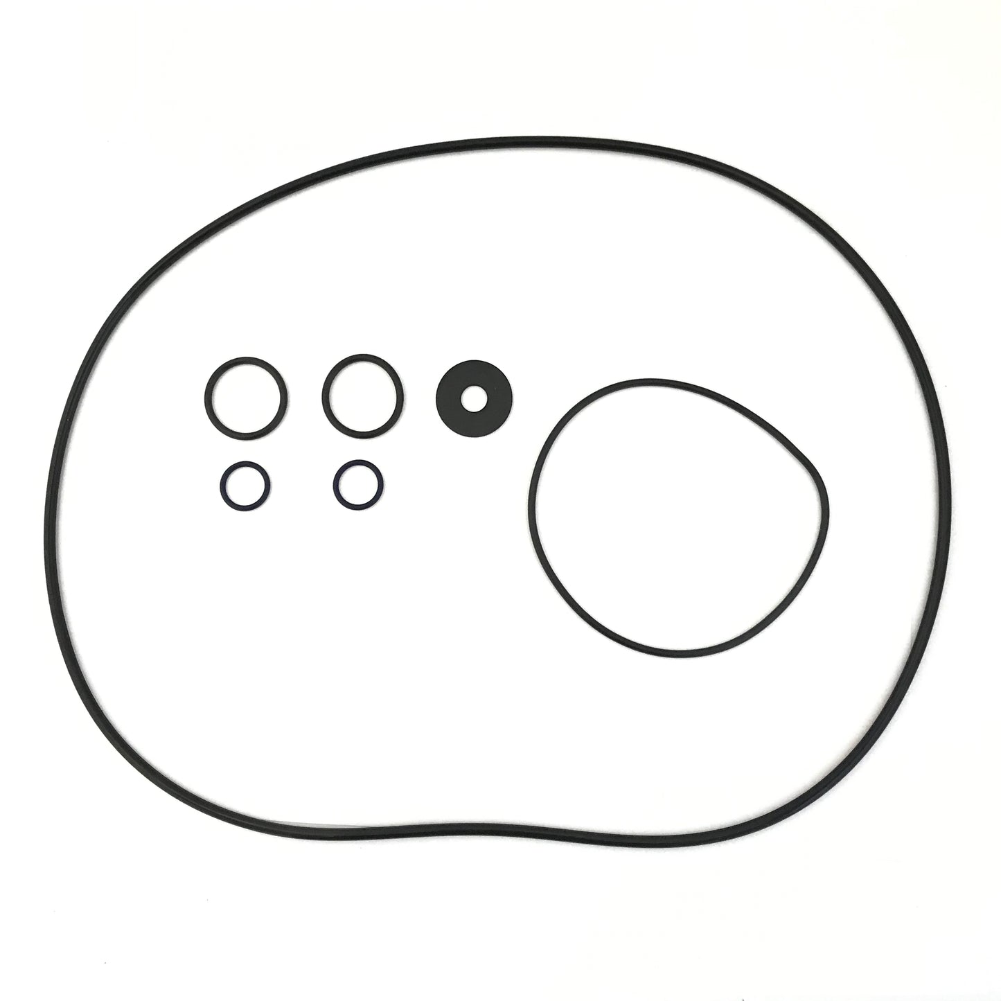 Replacement O-Ring Set for ProLine Pressurized Filters