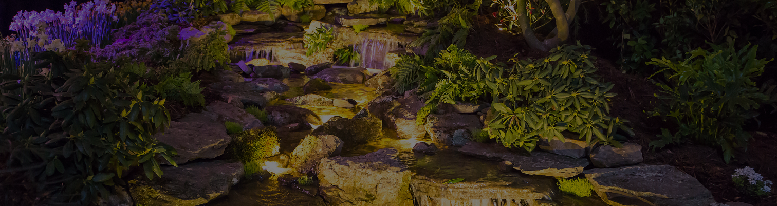 Warranty and Return Information