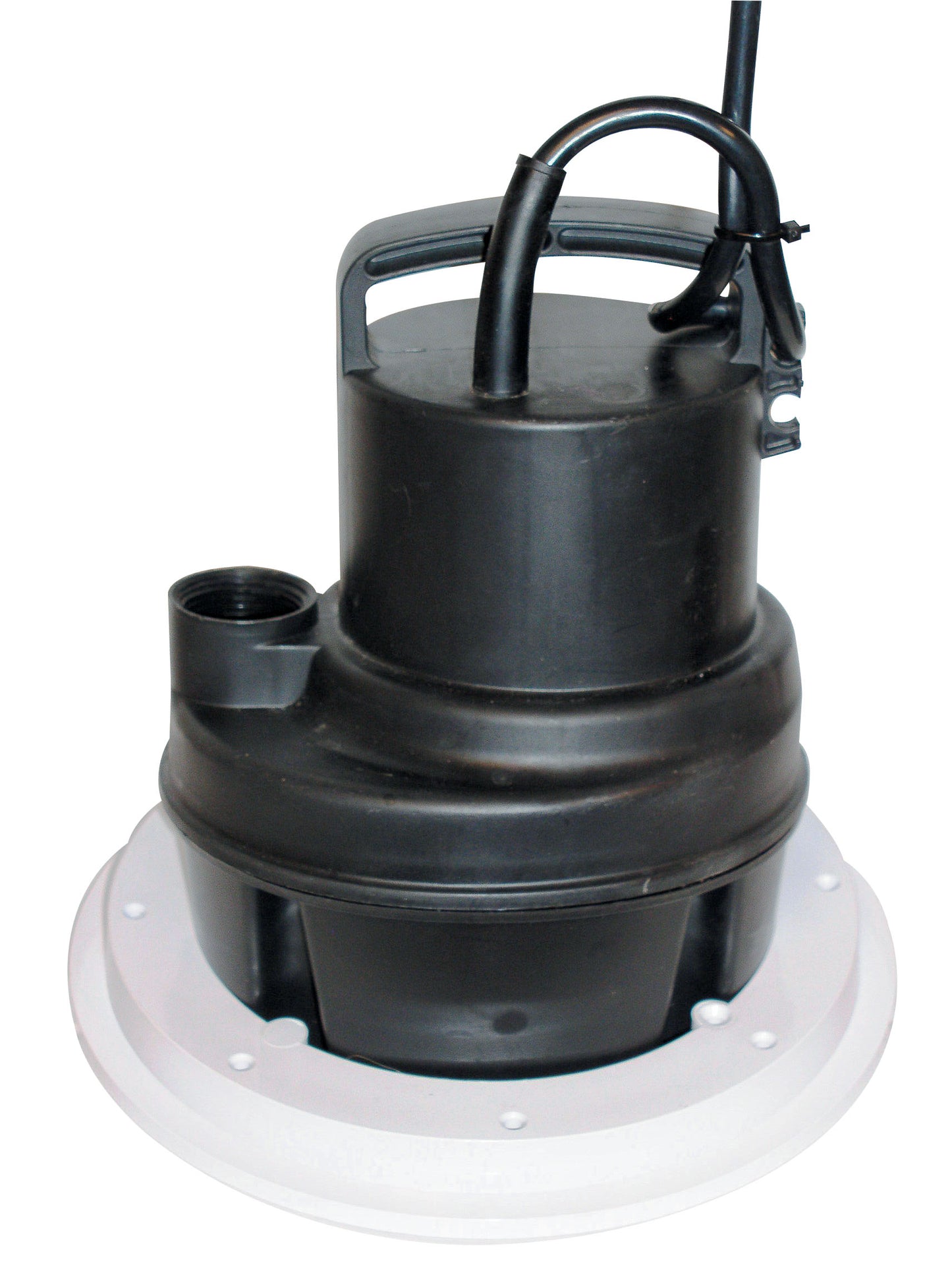 6MSP Utility/Pool Pump