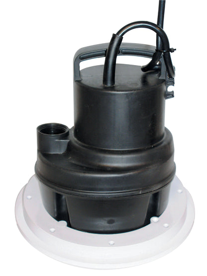 6MSP Utility/Pool Pump