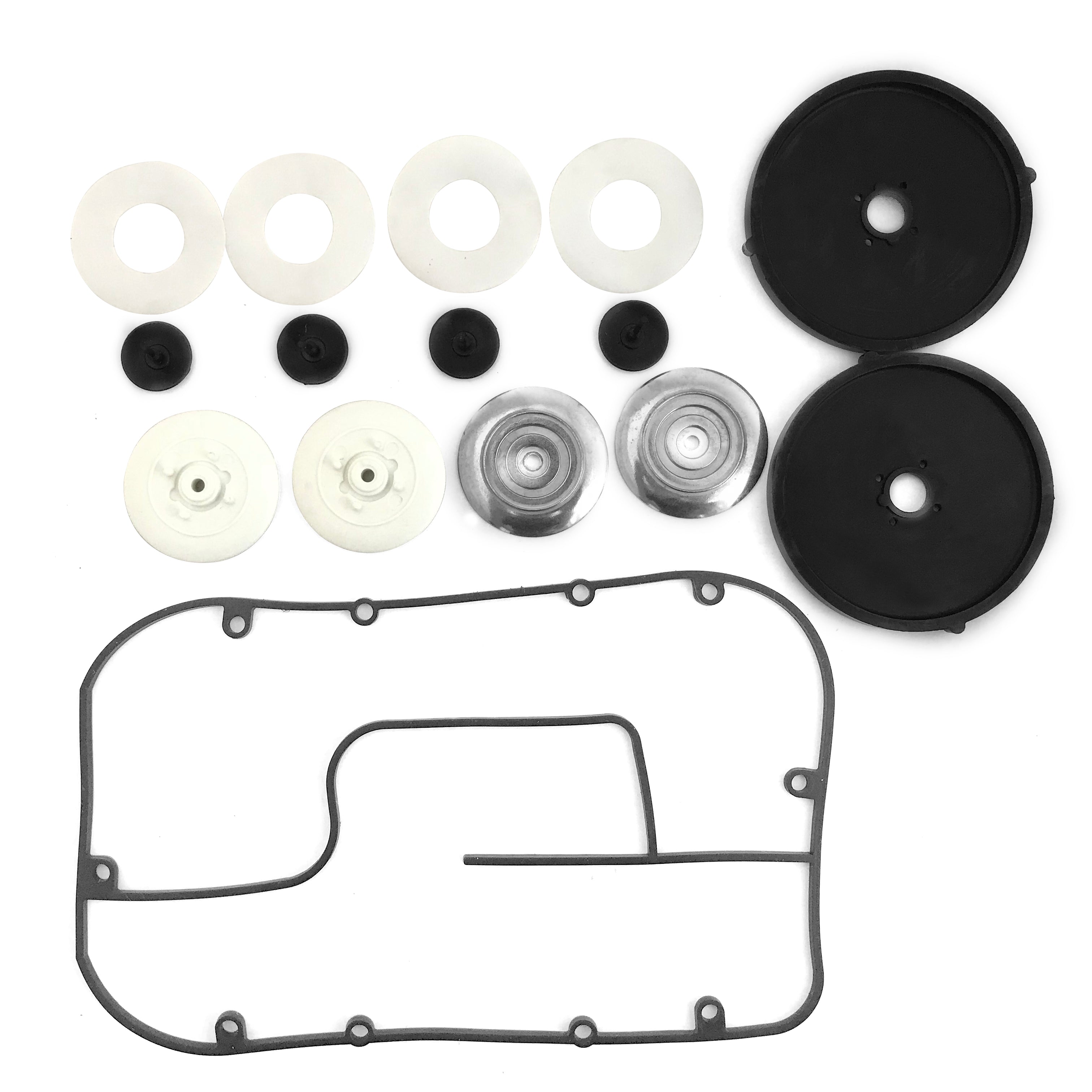 Diaphragm Kit for AP-100