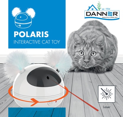Polaris Interactive Cat Toy